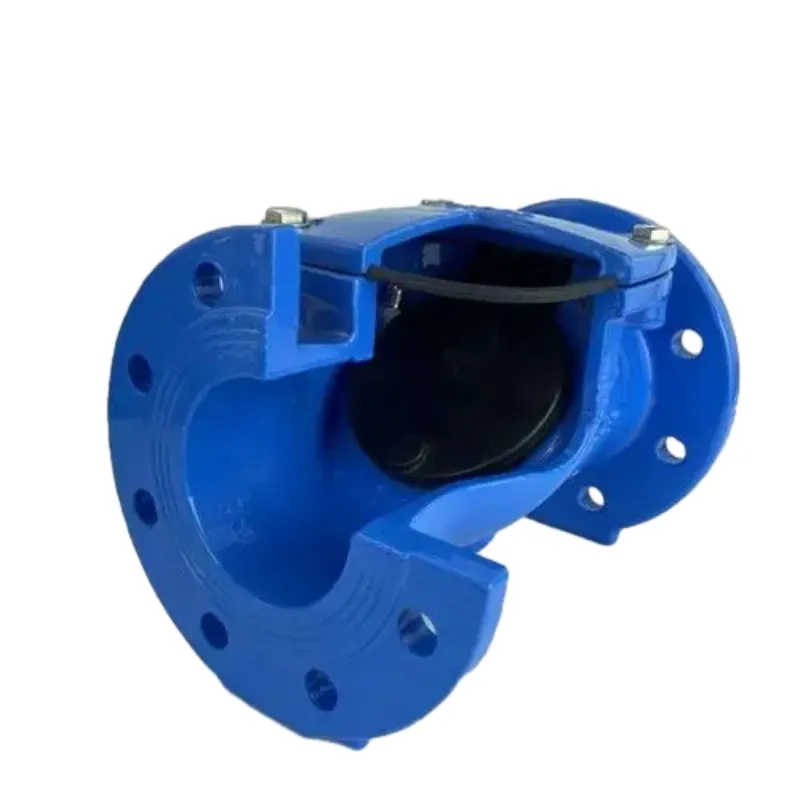 Rubber flap swing check valve .-lg