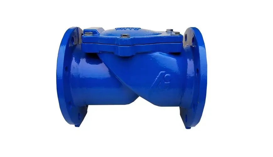 Soma wano ebisingawo ku check valve assy